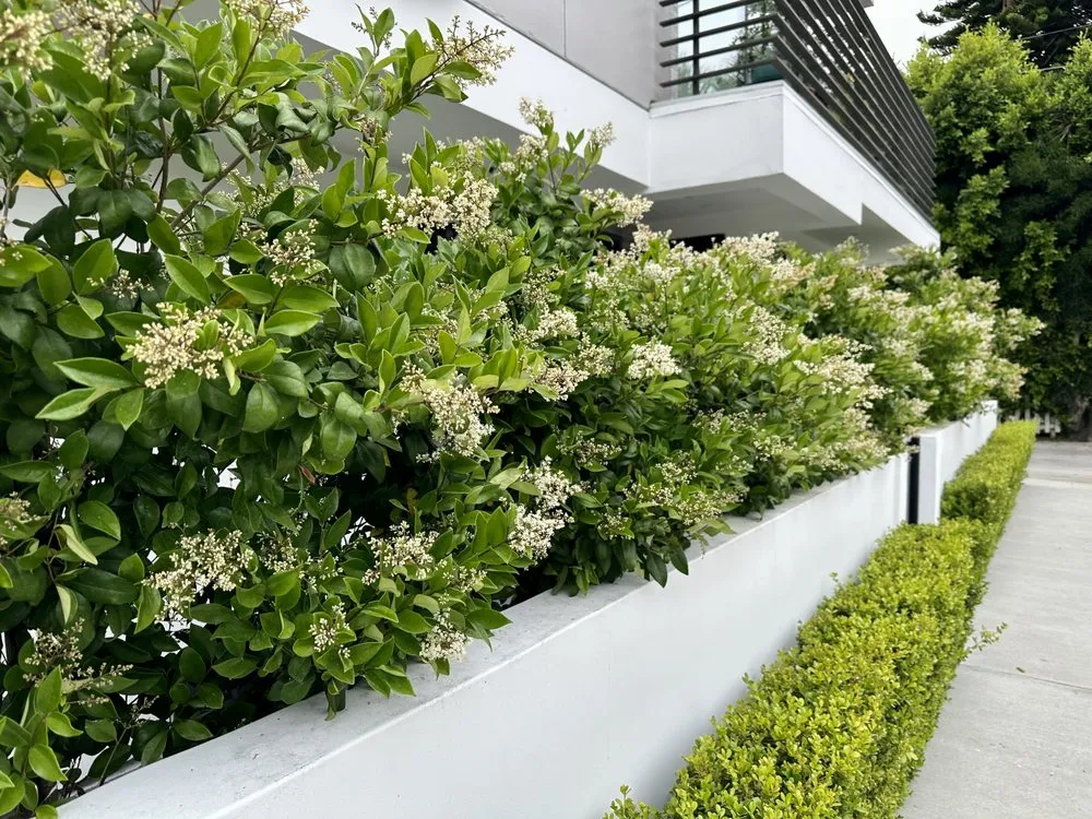 Affordable outdoor landscaping in Sherman Oaks, CA by Armstrong Garden Centers