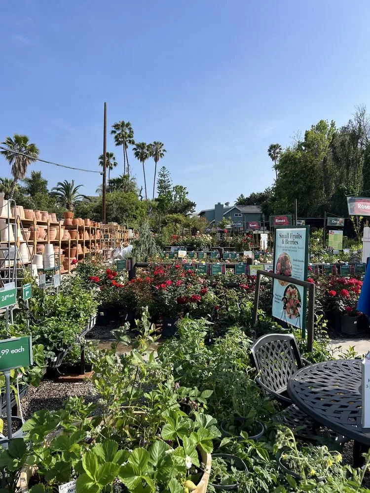 Reliable outdoor landscaping in Sherman Oaks, CA by Armstrong Garden Centers
