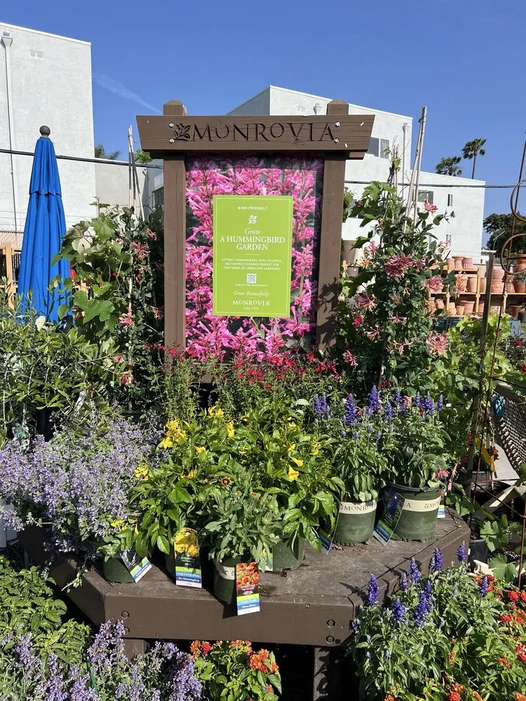 Custom lawn care service in Sherman Oaks, CA by Armstrong Garden Centers