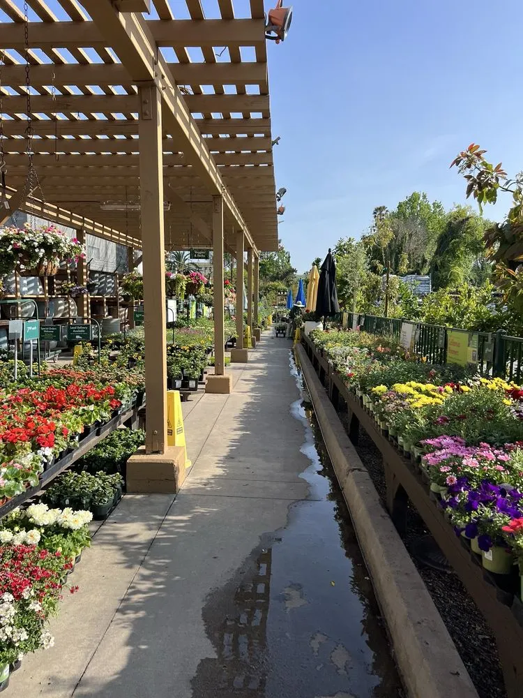 Custom residential landscaping for residential properties across Sherman Oaks, CA - Armstrong Garden Centers