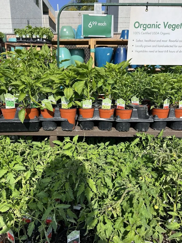 Local lawn care service in Sherman Oaks, CA by Armstrong Garden Centers