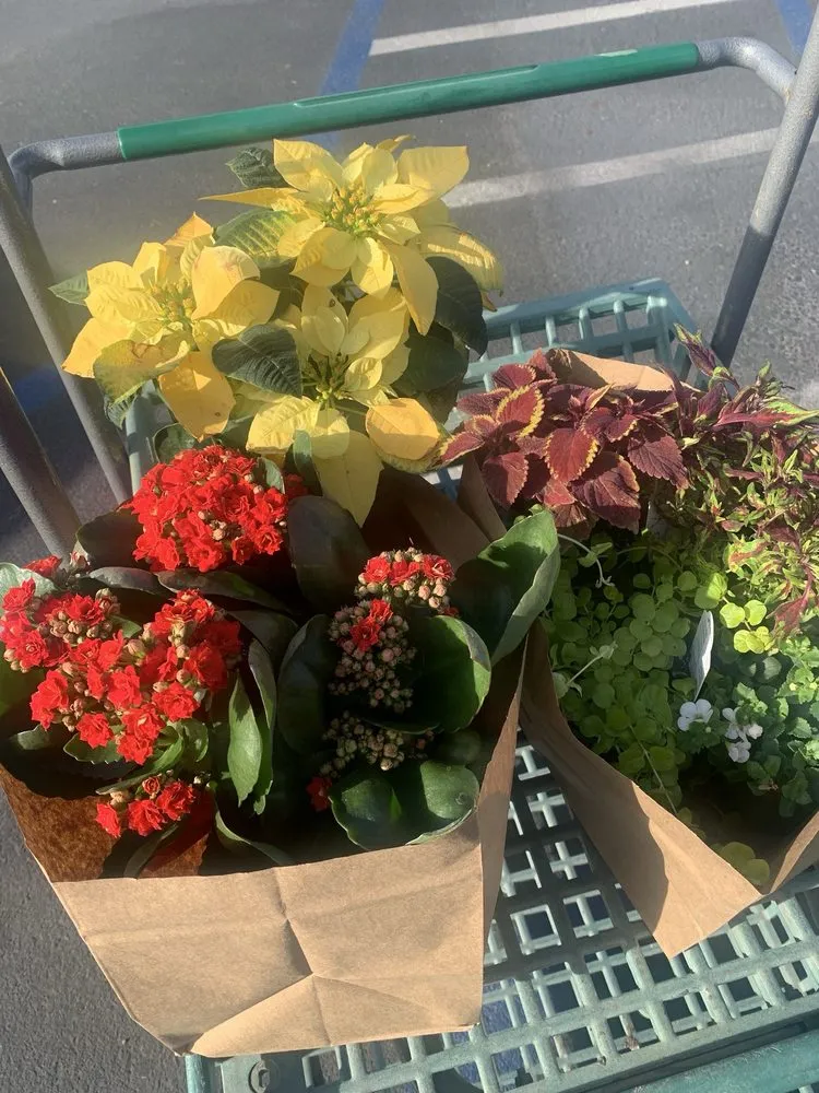 Professional residential landscaping with custom design across Temecula, CA - Armstrong Garden Centers