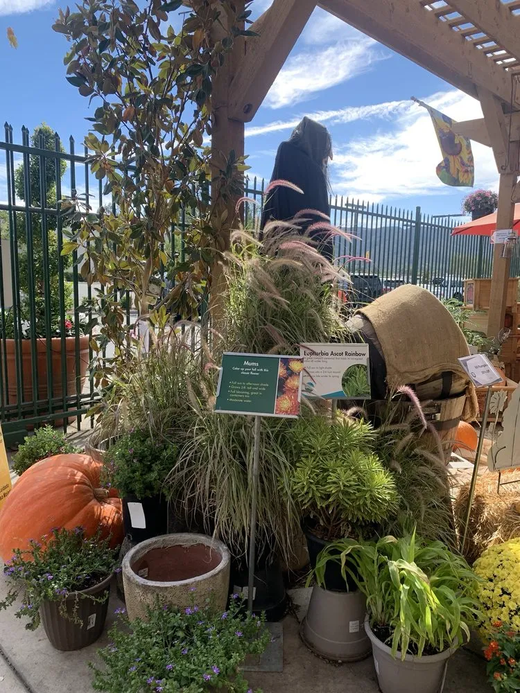 Affordable residential landscaping in Temecula, CA by Armstrong Garden Centers