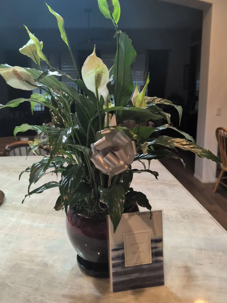 Reliable garden landscaping in Temecula, CA - Armstrong Garden Centers