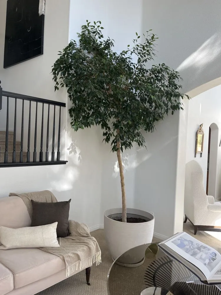 Professional landscape installation in Temecula, CA - Armstrong Garden Centers