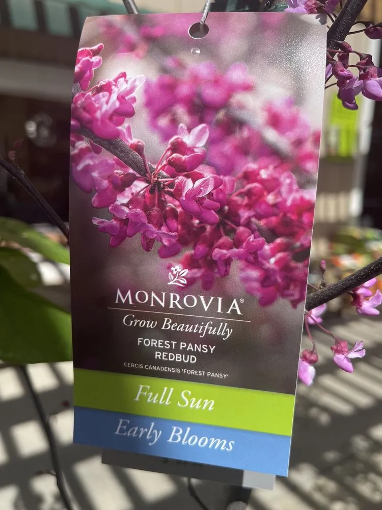 Expert lawn mowing service for year-round maintenance across Temecula, CA - Armstrong Garden Centers