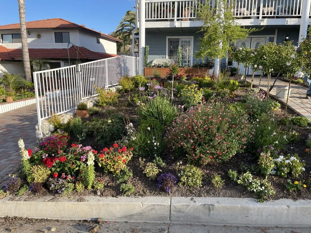 Affordable outdoor landscaping for year-round maintenance in Temecula, CA by Armstrong Garden Centers