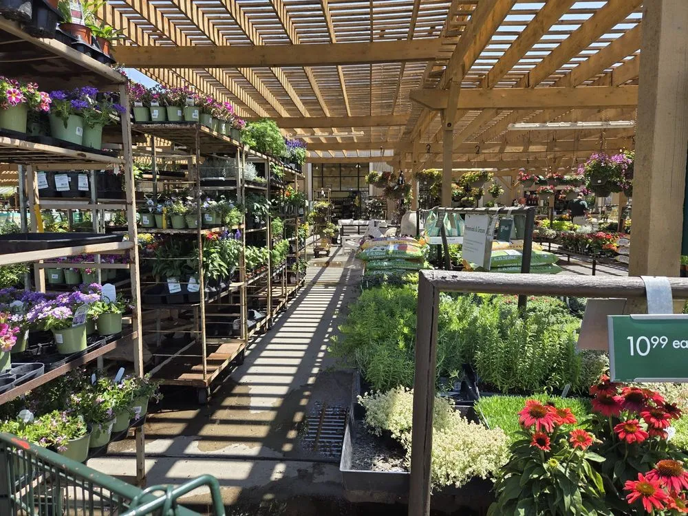 Local lawn care service in Temecula, CA by Armstrong Garden Centers