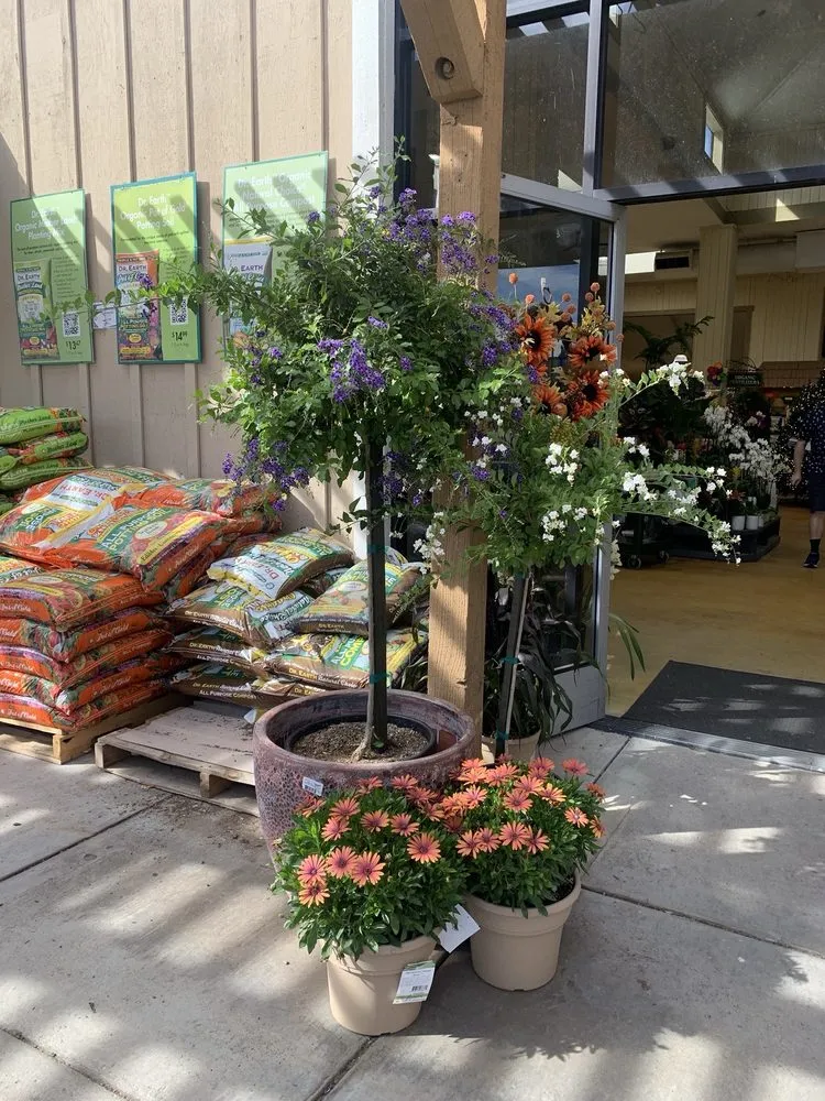 Affordable lawn mowing service for homes in Temecula, CA by Armstrong Garden Centers