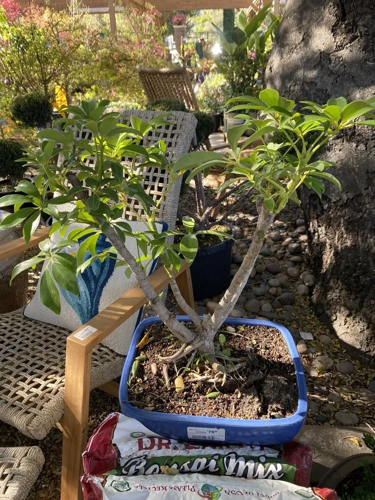 Expert landscape installation in Thousand Oaks, CA - Armstrong Garden Centers