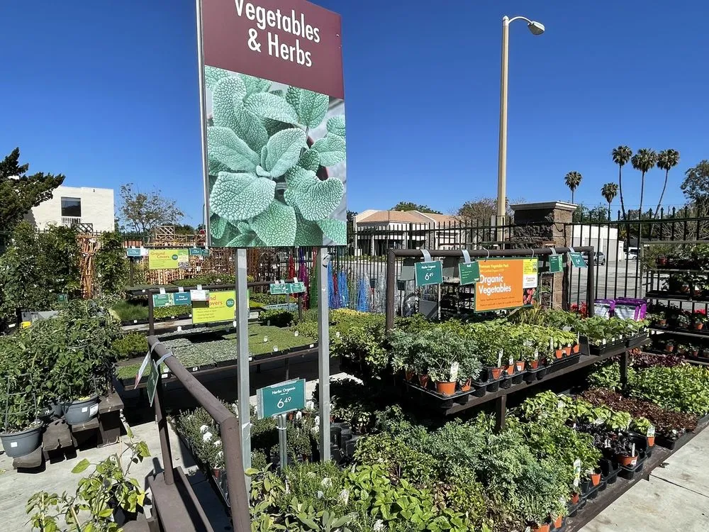 Local residential landscaping for beautiful yards across Thousand Oaks, CA - Armstrong Garden Centers