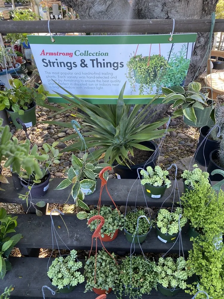 Local lawn care service for year-round maintenance across Thousand Oaks, CA - Armstrong Garden Centers