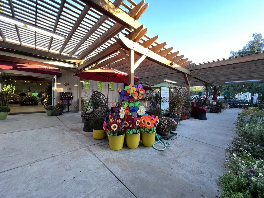 Custom yard cleanup service in Thousand Oaks, CA by Armstrong Garden Centers