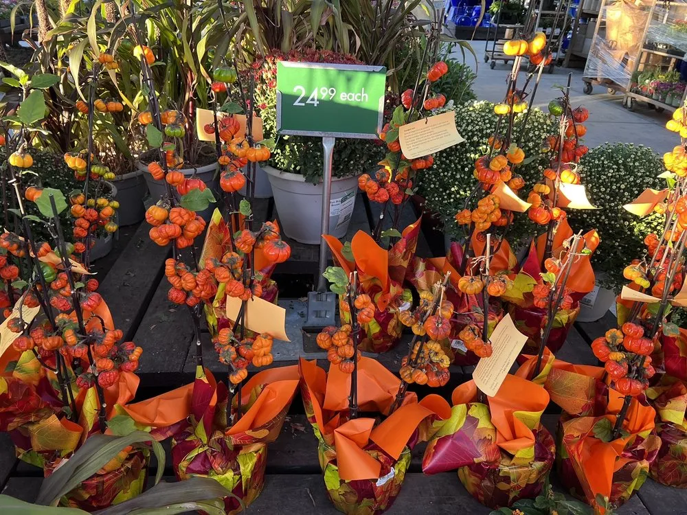 Reliable landscape installation in Thousand Oaks, CA by Armstrong Garden Centers