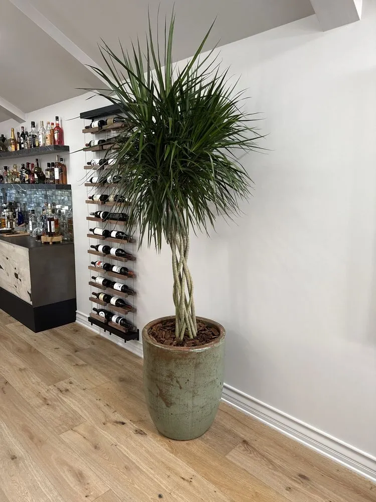 Local lawn care service in Thousand Oaks, CA - Armstrong Garden Centers