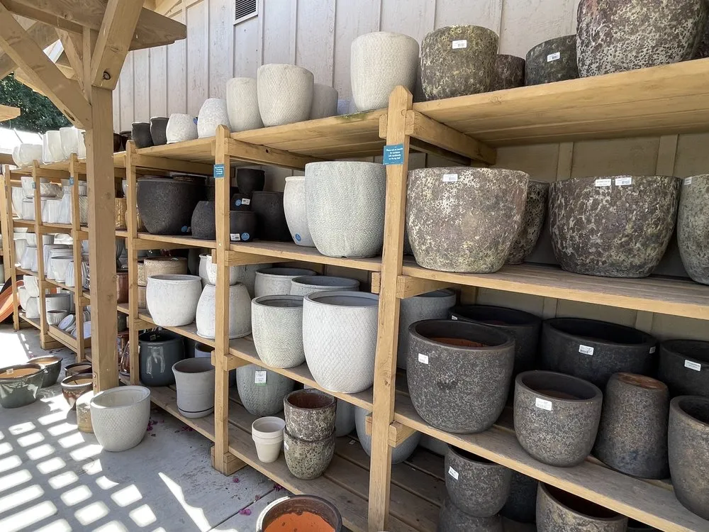 Reliable yard cleanup service for outdoor upgrades across Thousand Oaks, CA - Armstrong Garden Centers