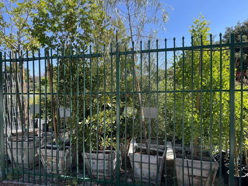 Trusted landscape installation near you across Thousand Oaks, CA - Armstrong Garden Centers