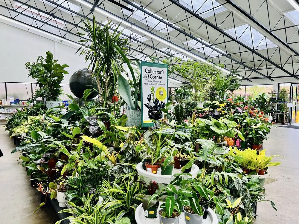 Affordable outdoor landscaping in Torrance, CA by Armstrong Garden Centers