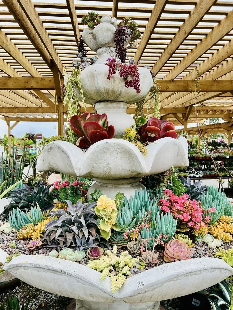 Trusted yard cleanup service for beautiful yards in Torrance, CA by Armstrong Garden Centers