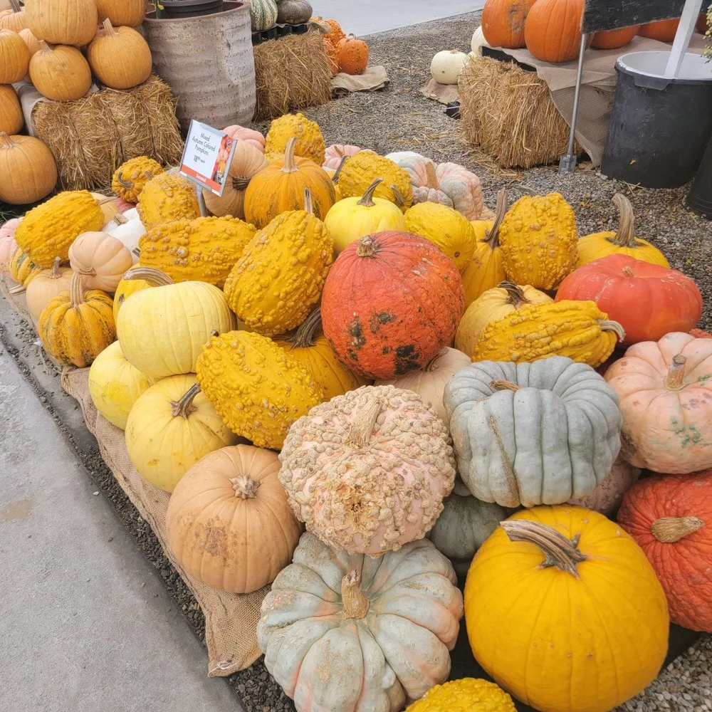 Reliable lawn mowing service with custom design across Torrance, CA - Armstrong Garden Centers