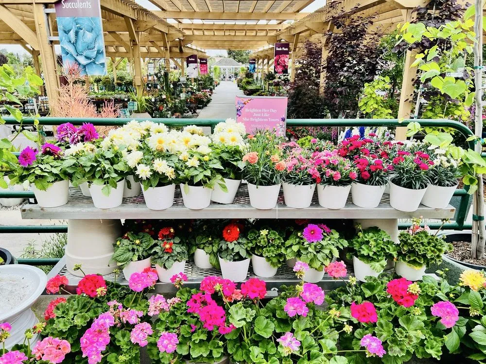 Trusted landscape design experts serving Torrance, CA - Armstrong Garden Centers