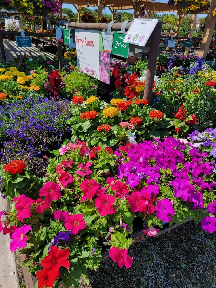 Affordable outdoor landscaping in Torrance, CA - Armstrong Garden Centers