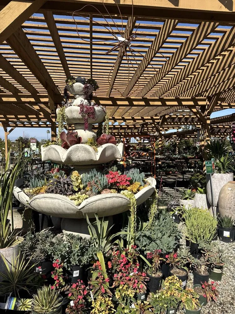 Trusted residential landscaping in Torrance, CA by Armstrong Garden Centers