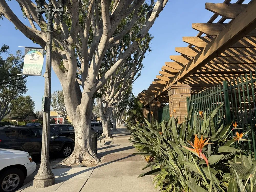 Affordable outdoor landscaping near you in Tustin, CA by Armstrong Garden Centers