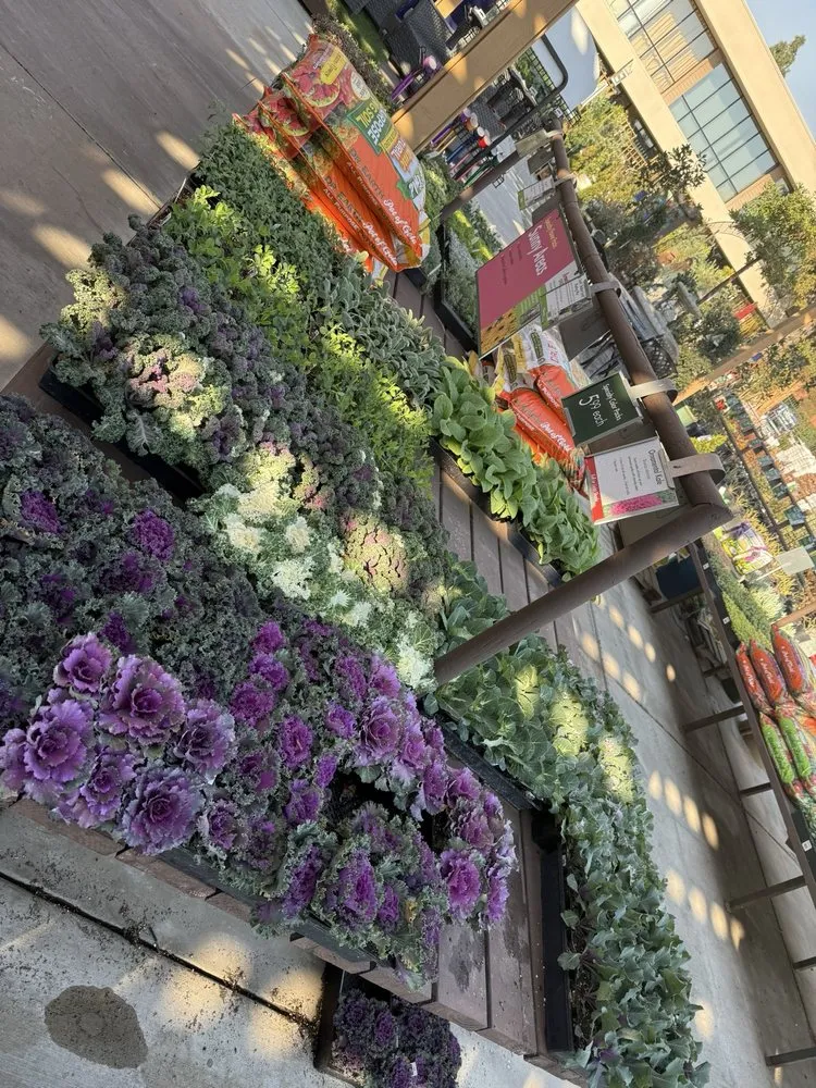 Local landscape design near you in Tustin, CA by Armstrong Garden Centers