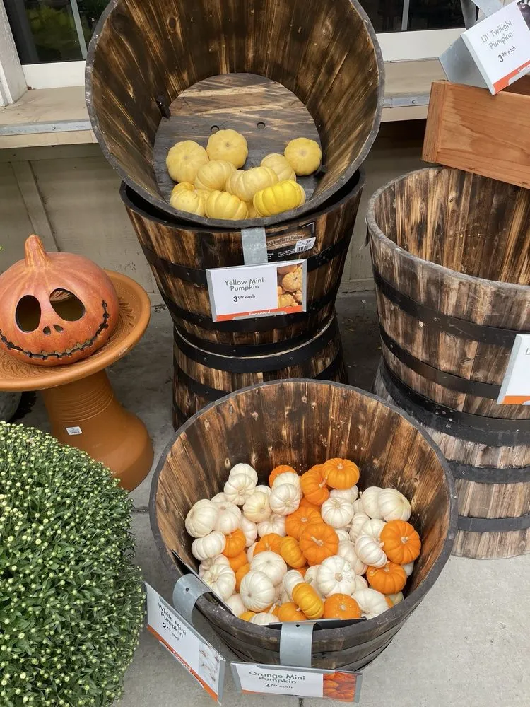 Professional landscape installation in Tustin, CA by Armstrong Garden Centers