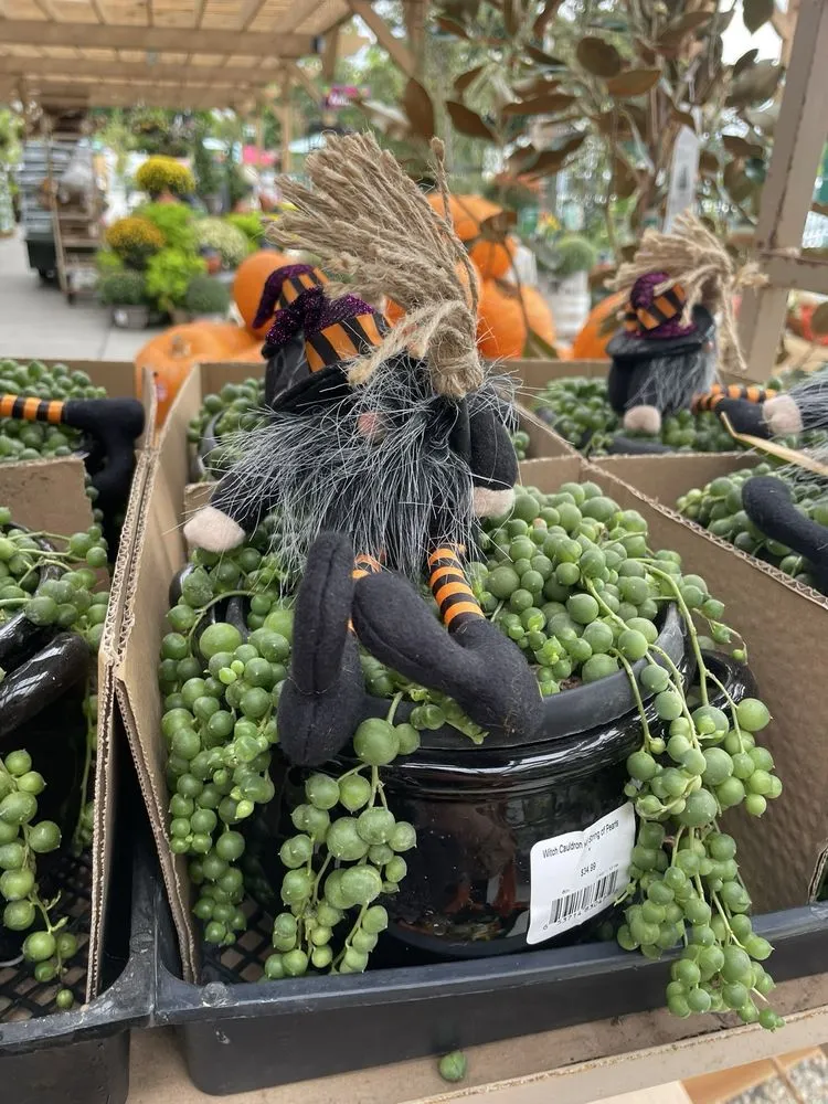 Reliable landscape design for residential properties in Tustin, CA by Armstrong Garden Centers