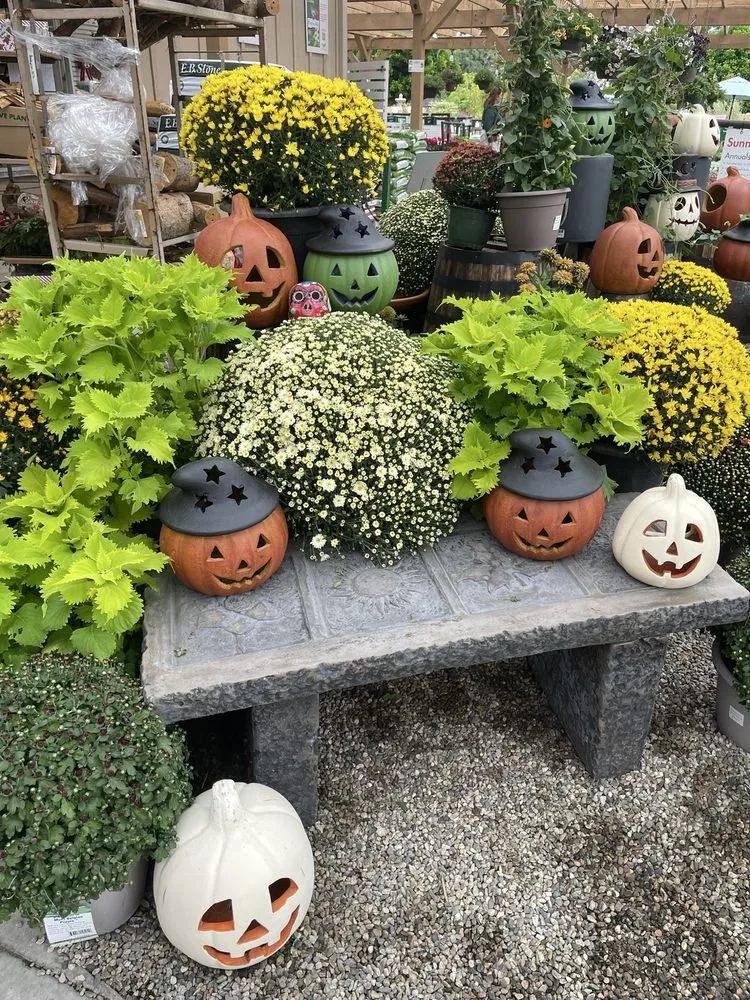 Local lawn mowing service for beautiful yards in Tustin, CA by Armstrong Garden Centers