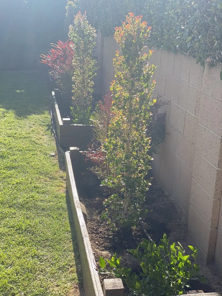 Custom landscape installation for year-round maintenance in Tustin, CA by Armstrong Garden Centers