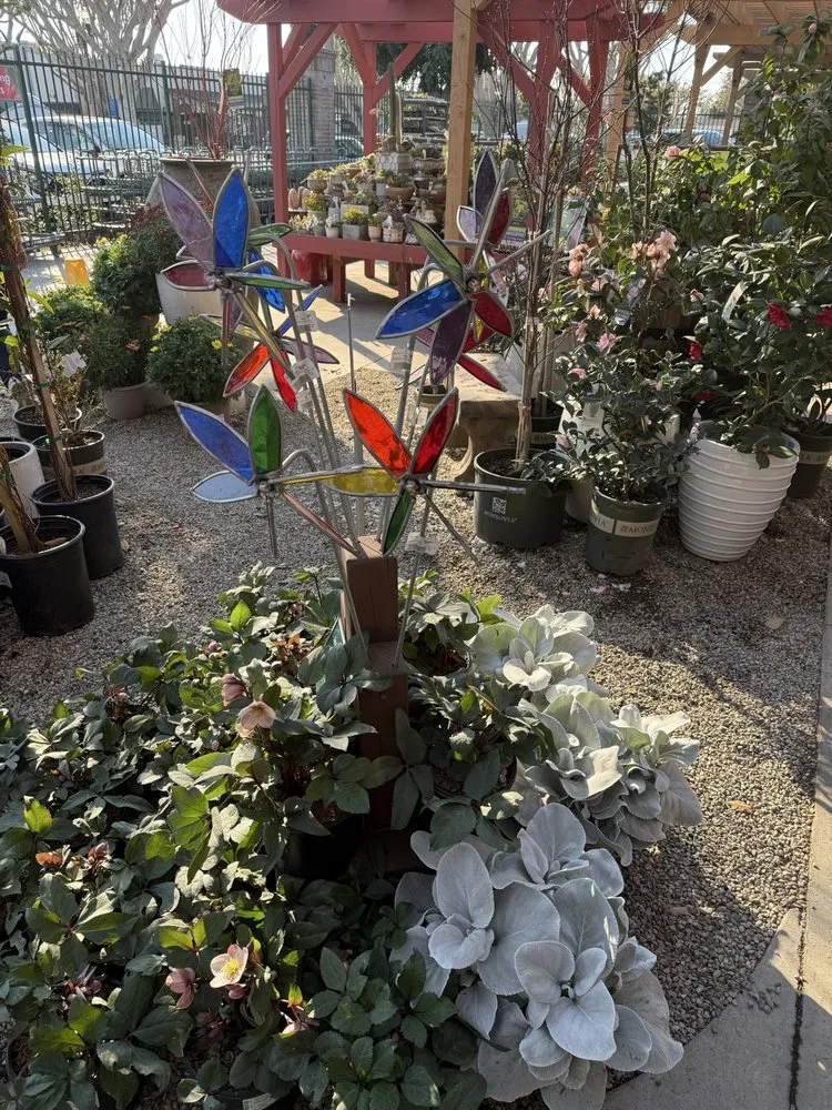 Reliable landscaping services for year-round maintenance in Tustin, CA by Armstrong Garden Centers