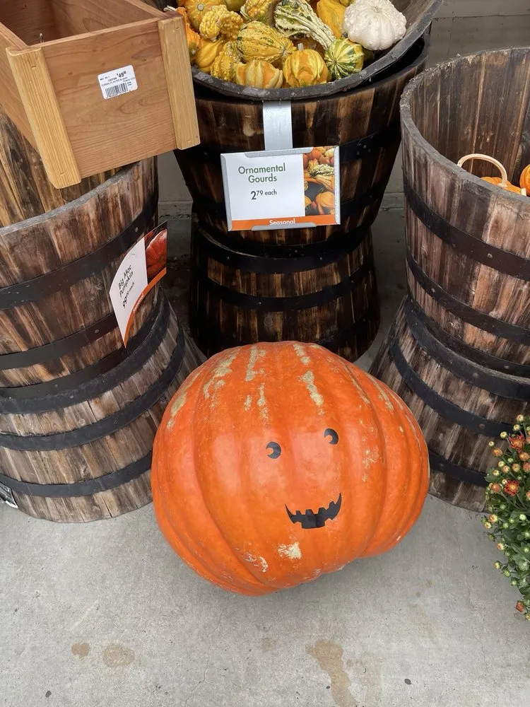 Top-rated landscape installation with custom design across Tustin, CA - Armstrong Garden Centers