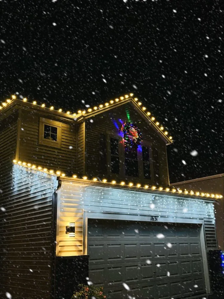 Reliable lawn care service in Romeoville, IL - Armstrong Housing