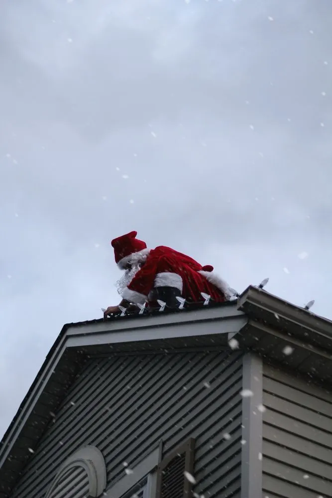 Local yard cleanup service experts serving Romeoville, IL - Armstrong Housing