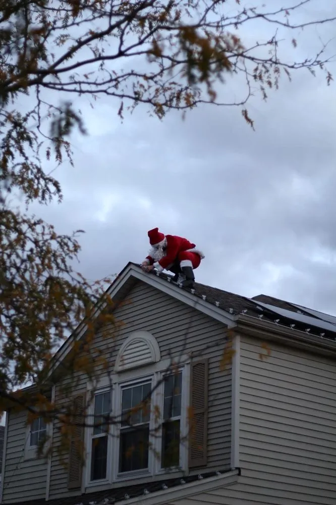 Professional yard maintenance experts serving Romeoville, IL - Armstrong Housing