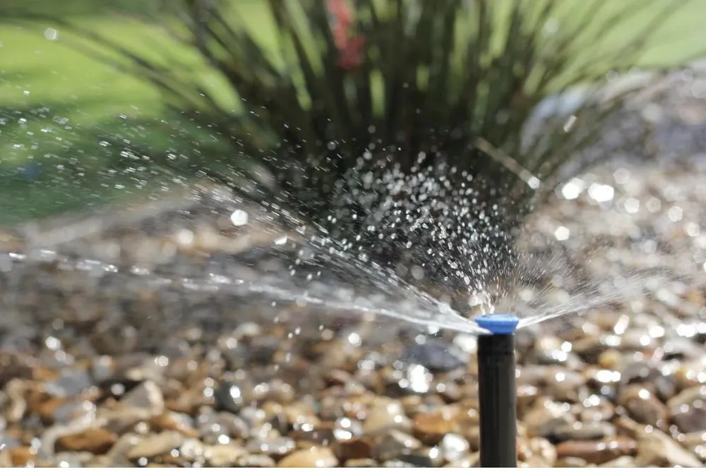 Expert garden landscaping for residential properties in Spring Branch, TX by Armstrong Landscape and Irrigation