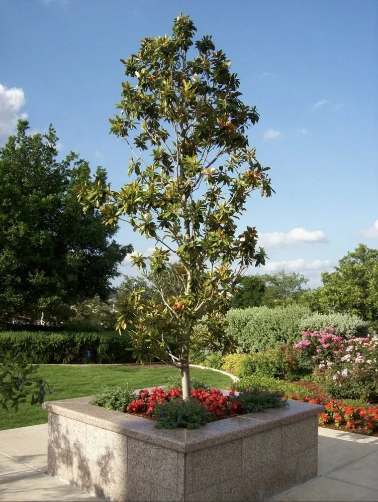 Reliable outdoor landscaping in Spring Branch, TX by Armstrong Landscape and Irrigation
