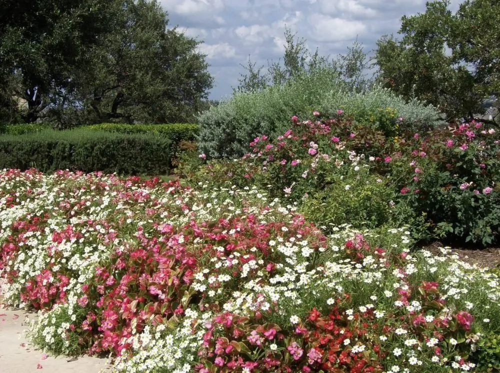 Affordable yard cleanup service in Spring Branch, TX - Armstrong Landscape and Irrigation