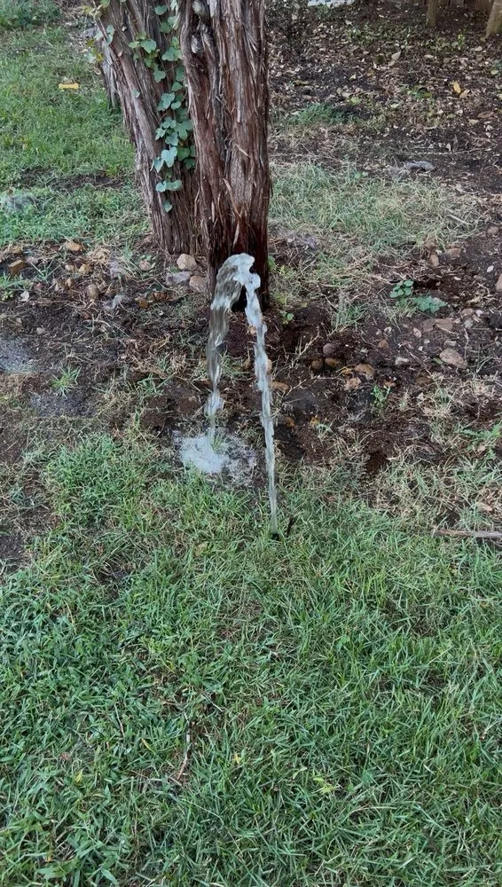 Top-rated landscape installation in Spring Branch, TX - Armstrong Landscape and Irrigation