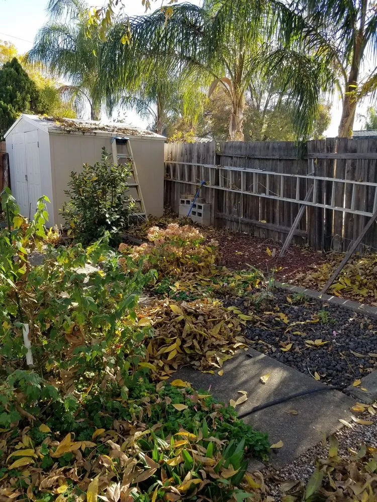 Reliable garden landscaping for residential properties across Rocklin, CA - Armstrong Landscape Services