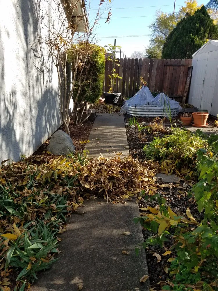 Trusted residential landscaping in Rocklin, CA by Armstrong Landscape Services