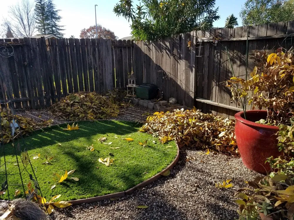 Reliable lawn mowing service in Rocklin, CA - Armstrong Landscape Services
