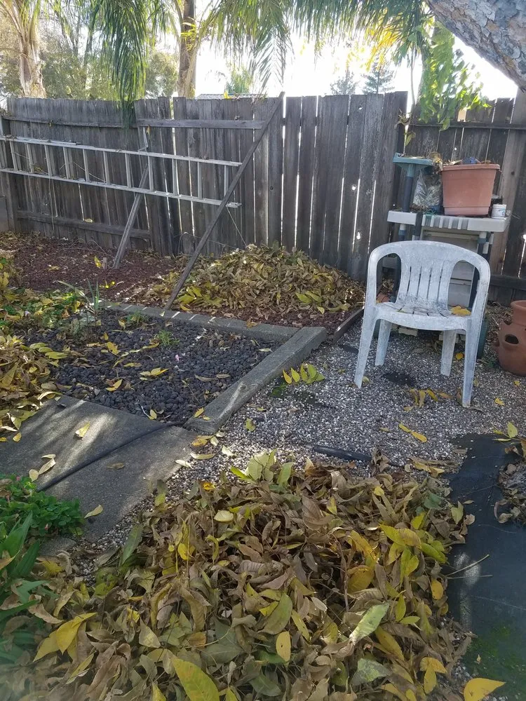 Top-rated landscaping services in Rocklin, CA - Armstrong Landscape Services