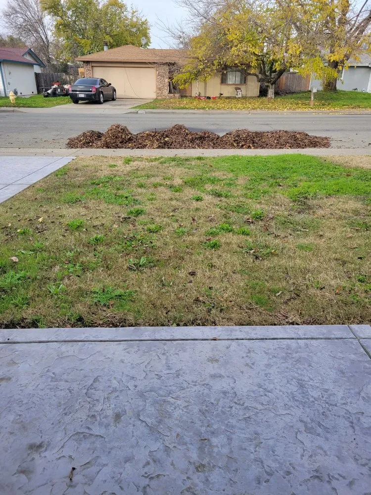 Expert lawn mowing service for beautiful yards across Rocklin, CA - Armstrong Landscape Services