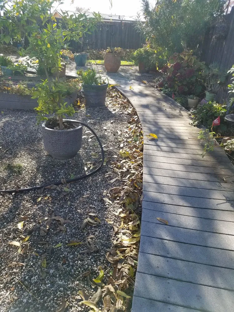 Affordable residential landscaping near you across Rocklin, CA - Armstrong Landscape Services