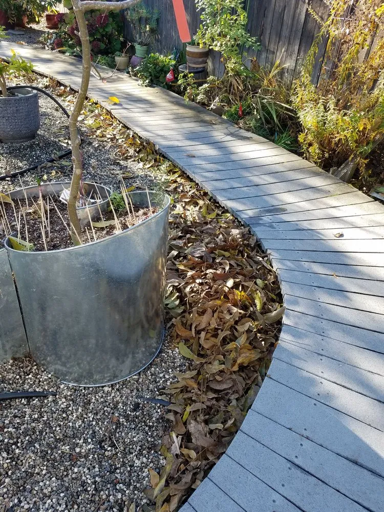 Professional yard maintenance in Rocklin, CA - Armstrong Landscape Services