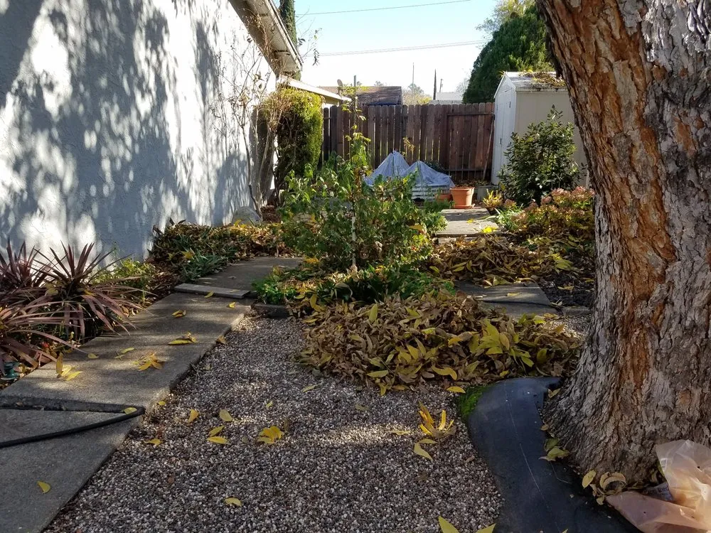 Professional lawn care service in Rocklin, CA - Armstrong Landscape Services